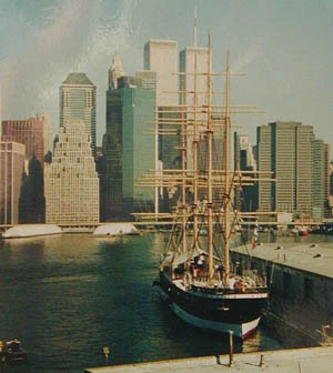 [photo: Wall Street area, from Brooklyn
Heights Promenade, with WTC]